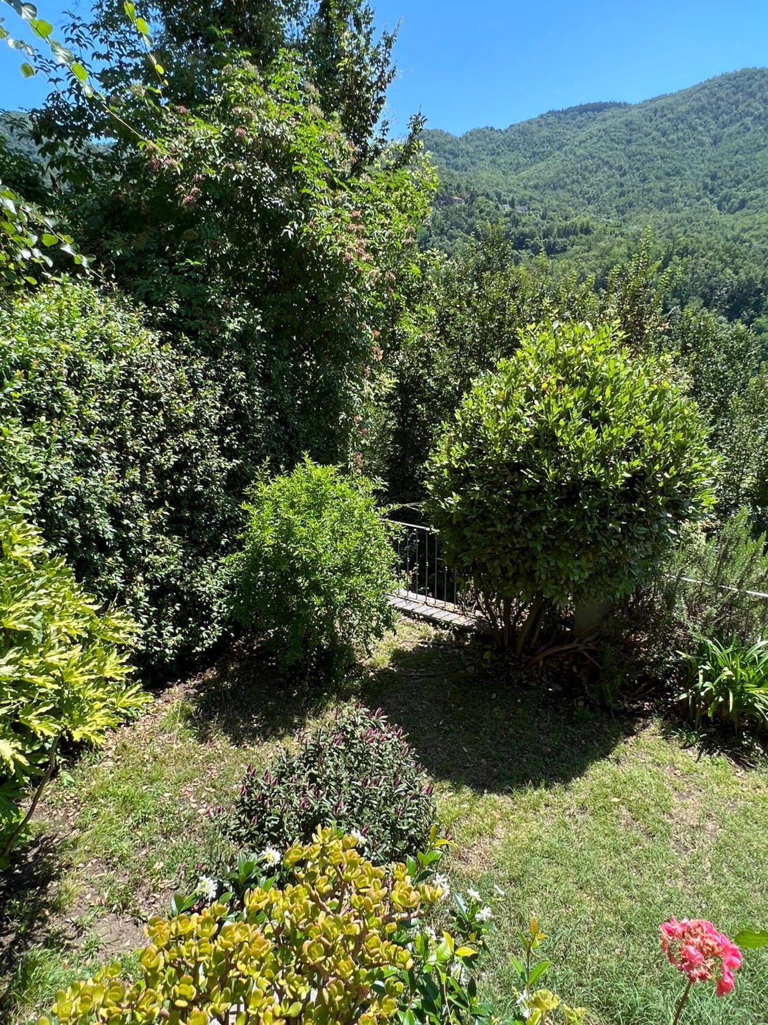 Casa Boru - A Beautiful Fully Restored Spacious House With Fantastic Views Calice al Cornoviglio Eksteriør billede