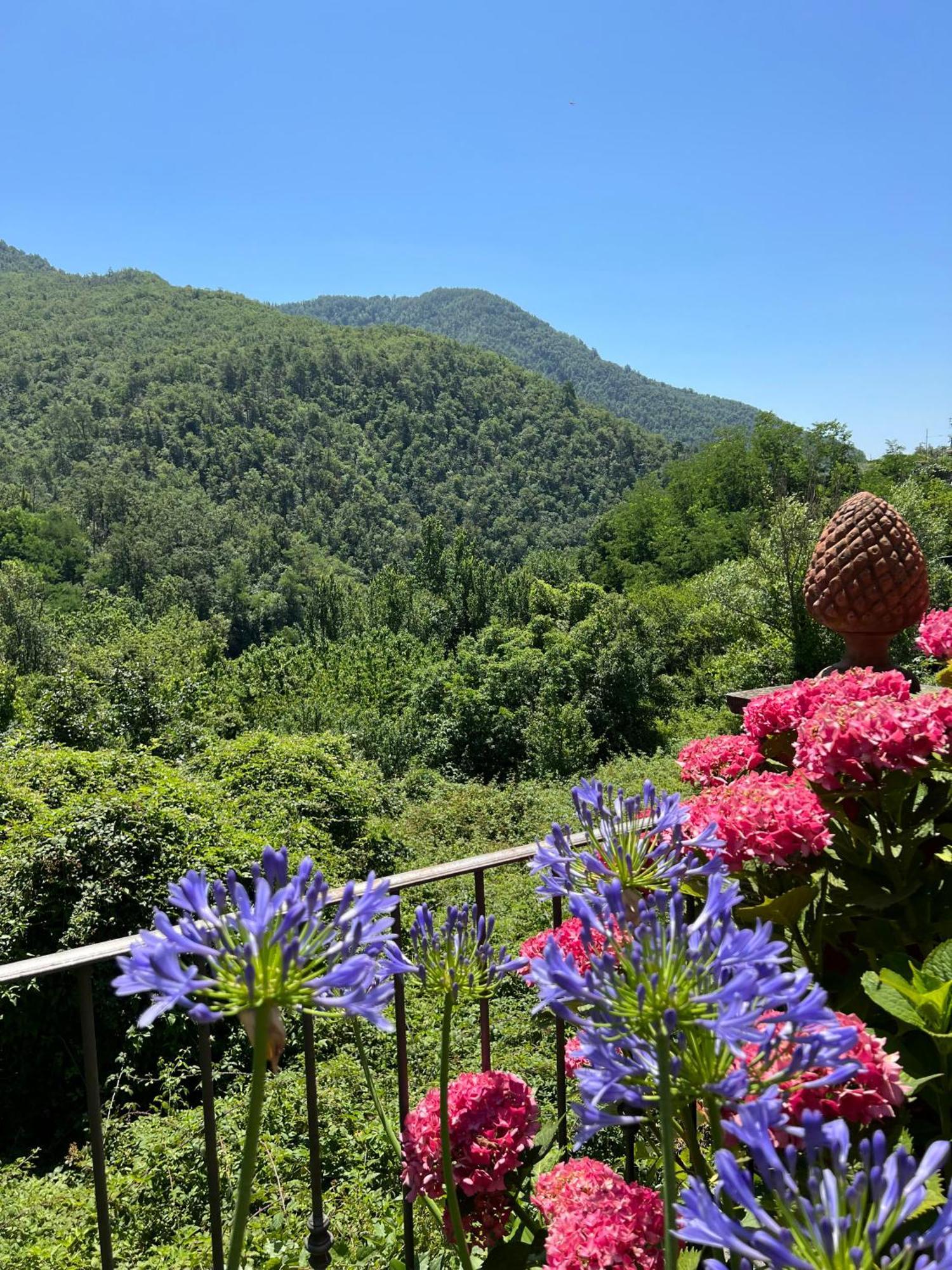 Casa Boru - A Beautiful Fully Restored Spacious House With Fantastic Views Calice al Cornoviglio Eksteriør billede